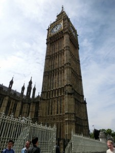 CIMG0103 (480x640)