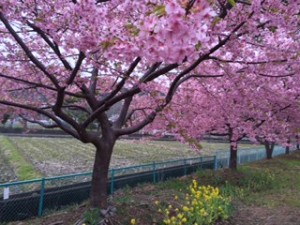 IMG_0033