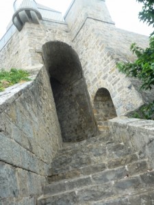 P1040004 (480x640)