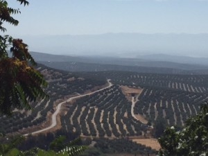 IMG_0411 (640x480)