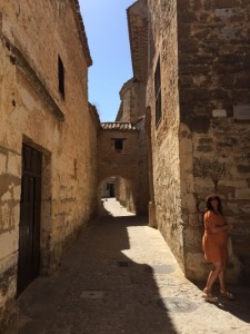 IMG_0452 (480x640)