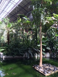 IMG_0511 (480x640)